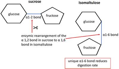 Saccharide Characteristics and Their Potential Health Effects in Perspective